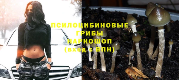 альфа пвп Баксан
