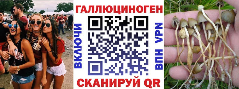 Галлюциногенные грибы GOLDEN TEACHER  Тара 